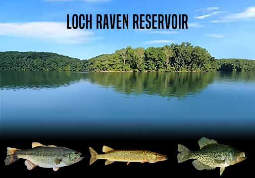 Fishing Report Loch Raven Reservoir, MD
