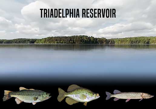 Fishing Report Triadelphia Reservoir, MD