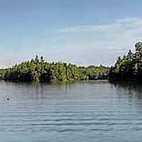 Long Lake Reports
