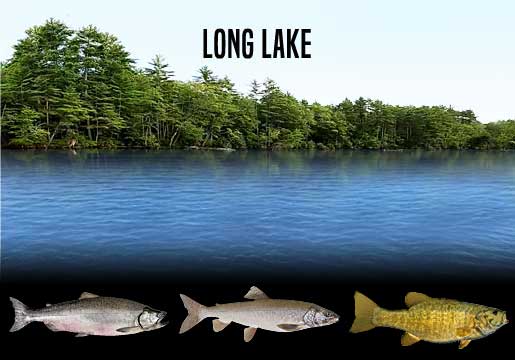 Fishing Report Long Lake