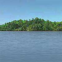 Brevoort Lake Reports