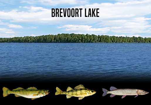 Fishing Report Brevoort Lake, MI