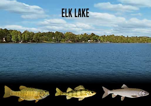 Fishing Report Elk Lake, MI