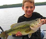 Big Minnesota Bass