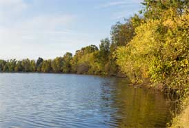 Cove on Bull Shoals Lake