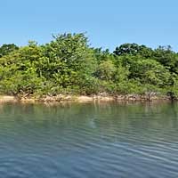Fellows Lake Reports