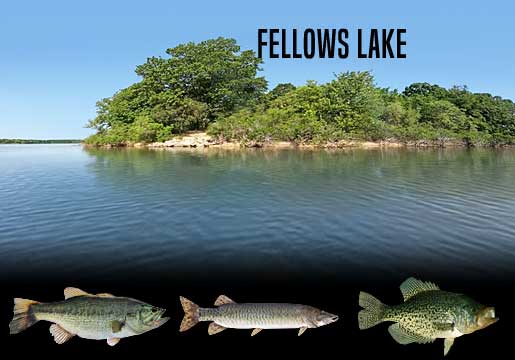 Fishing Report Fellows Lake