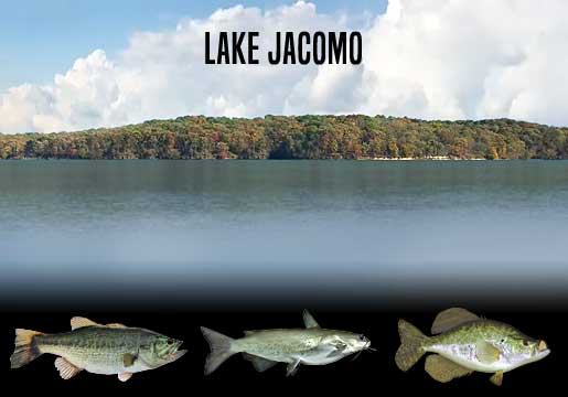 Fishing Report Lake Jacomo