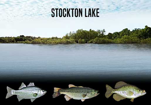Fishing Report Stockton Lake, MO