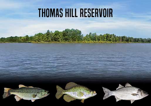 Fishing Report Thomas Hill Reservoir, MO