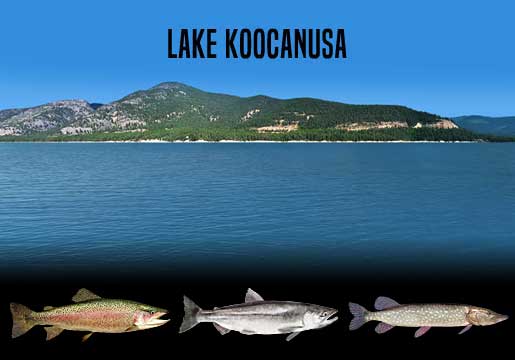 Fishing Report Lake Koocanusa, MT