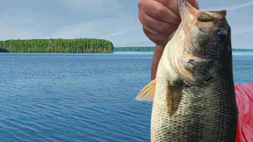 Fishing For Big Bass at Jordan Lake