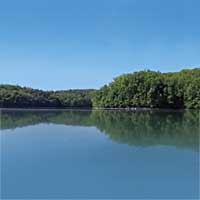 Fontana Lake Reports