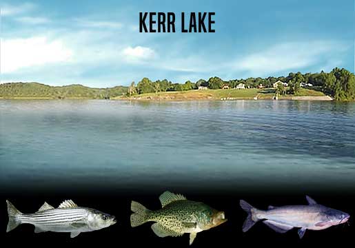 Fishing Report Kerr Lake, NC