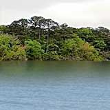 Lake Benson, North Carolina