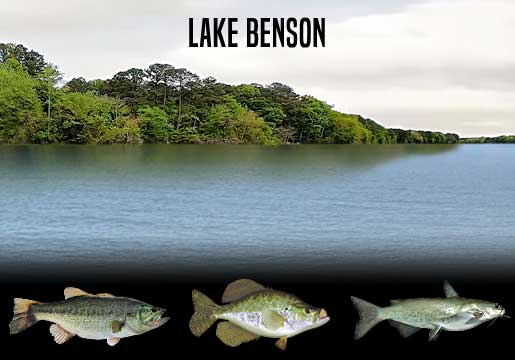 Fishing Report Lake Benson, NC