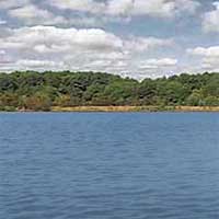 Lake Crabtree Reports