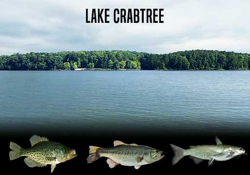 Fishing Report Lake Crabtree, NC