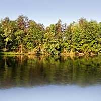 Lake Mackintosh Reports