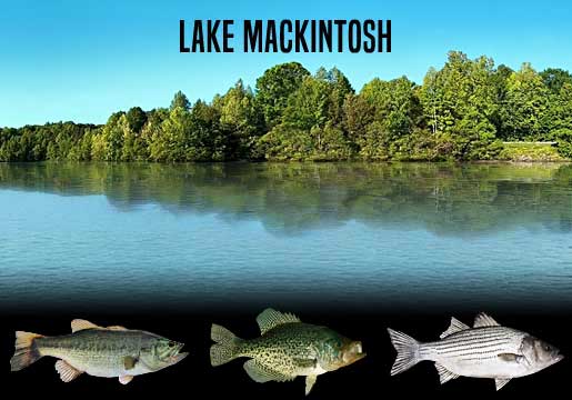 Fishing Report Lake Mackintosh, NC