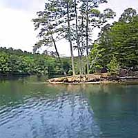 Lake Rhodhiss Reports