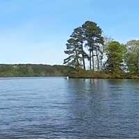 Lake Wheeler Reports