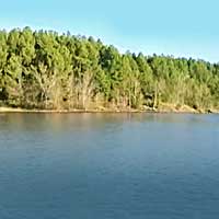 Mayo Lake Reports