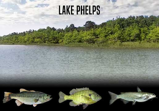 Fishing Report Phelps Lake