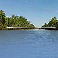 Sutton Lake Reports