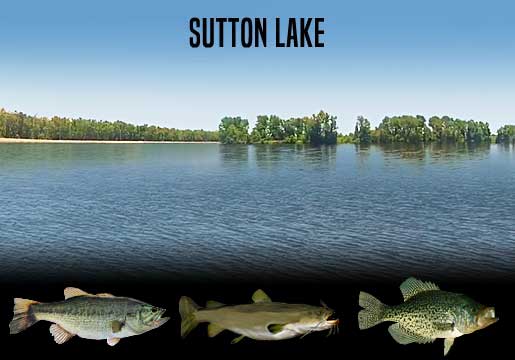Fishing Report Lake Sutton, NC