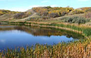 North Dakota Fishing Lake