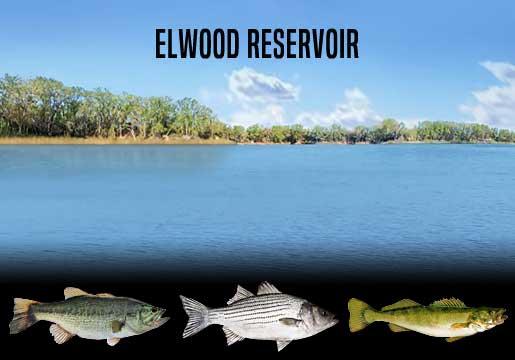 Fishing Report Elwood Reservoir, NE