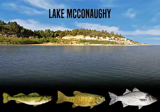 Fishing Report Lake McConaughy, NE