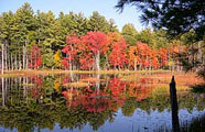 Ponds are a great place to take kids fishing