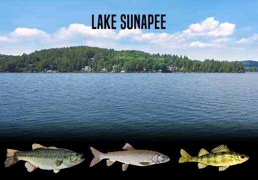 Fishing Report Lake Sunapee, NH