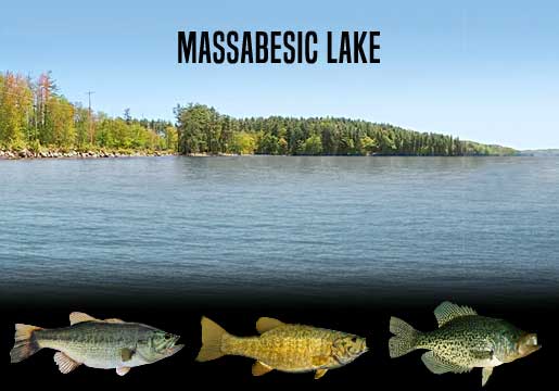 Fishing Report Massabesic Lake, NH