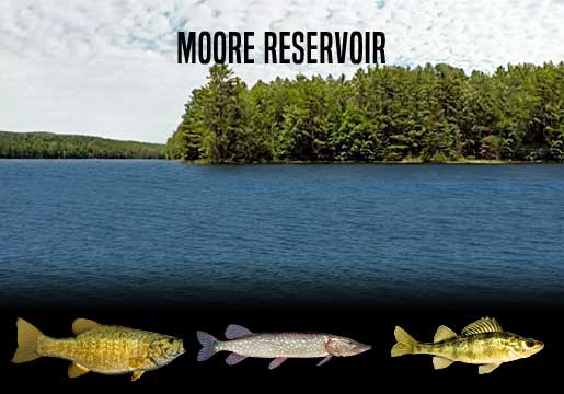 Fishing Report Moore Reservoir, NH