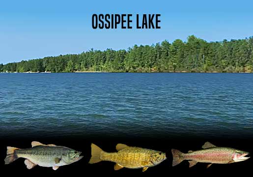 Fishing Report Ossipee Lake, NH