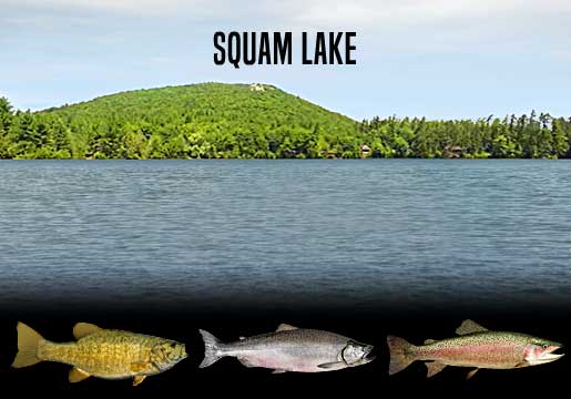 Fishing Report Squam Lake, NH