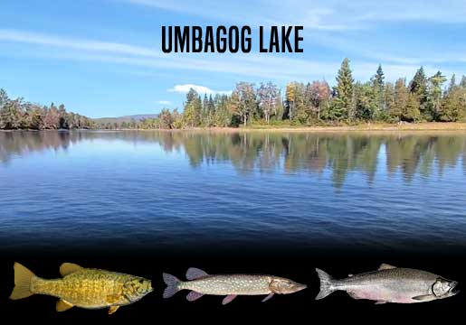 Fishing Report Umbagog Lake