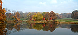 One of Many New Jersey Fishing Ponds