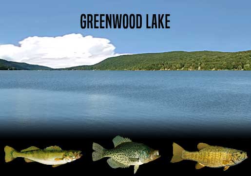 Fishing Report Greenwood Lake, NJ