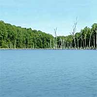Merrill Creek Reservoir Reports