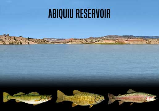 Fishing Report Abiquiu Reservoir, NM