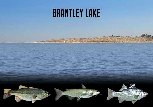 Fishing Report Brantley Lake
