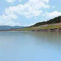 Heron Lake Reports