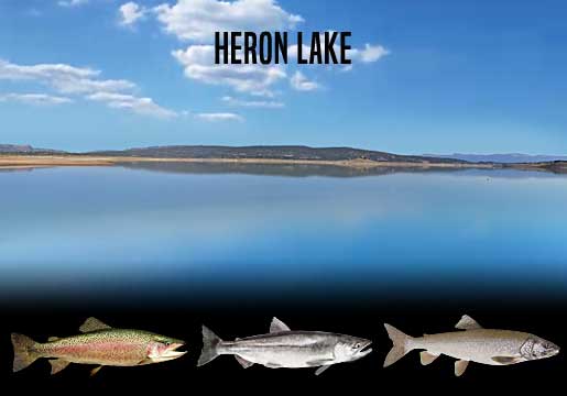 Fishing Report Heron Lake, NM