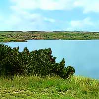 Ute Lake Reports