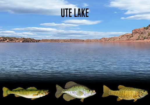 Fishing Report Ute Lake, NM