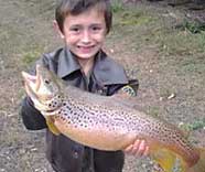 Jeremiah Austin & His Trout